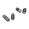 Rekudo Coil Spring Set